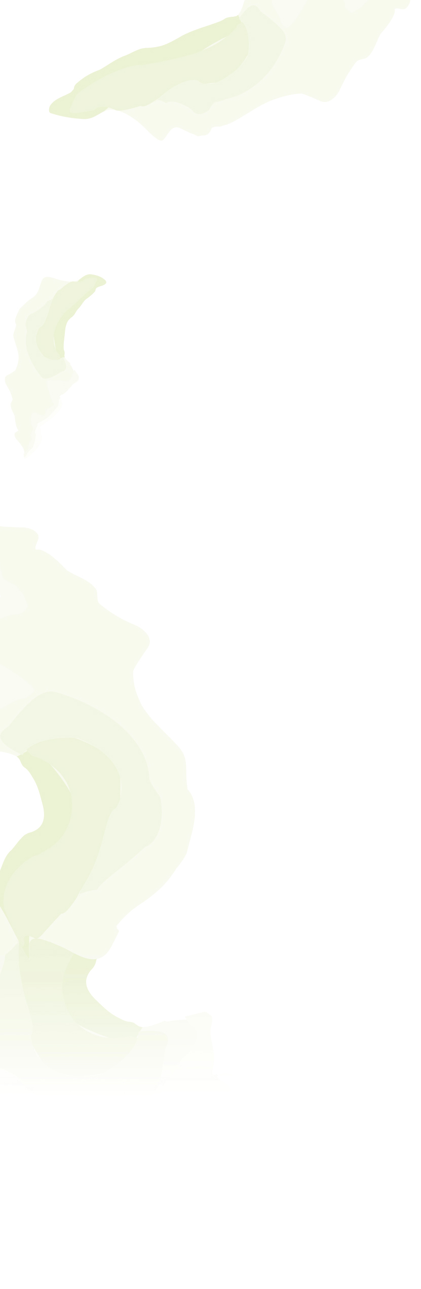 Fond décoratif gauche